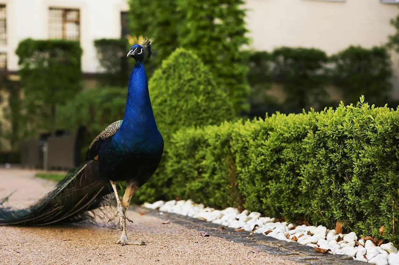 The Grand Mark Prague - The Leading Hotels Of The World